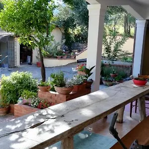 La Gallina Nel Castello Bed & Breakfast Albenga